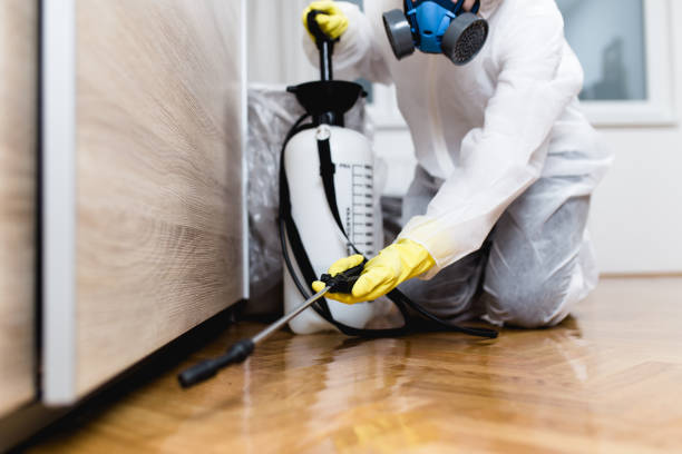 Best Local Pest Control Services  in Bovina, TX