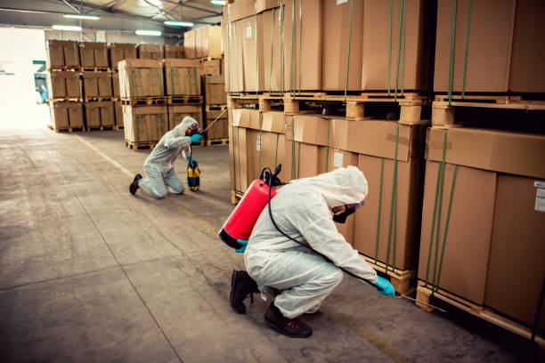Best Commercial Pest Control Services  in Bovina, TX