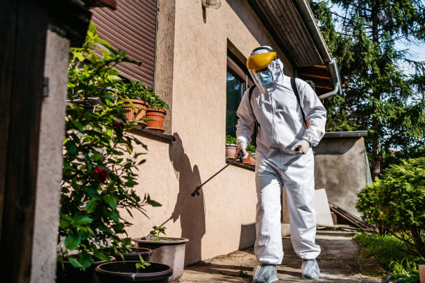 Best Residential Pest Control  in Bovina, TX