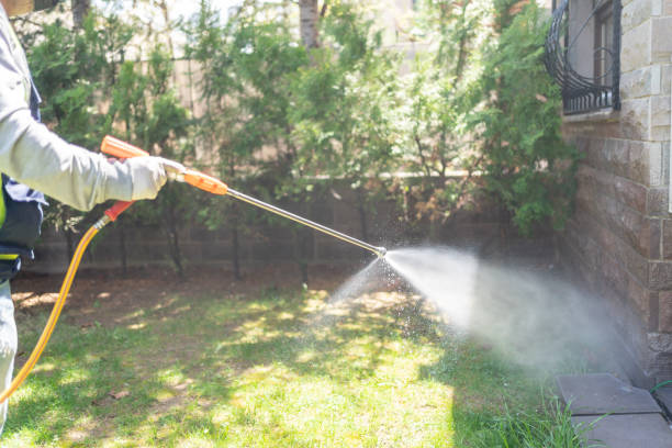 Best Wildlife Control Services  in Bovina, TX