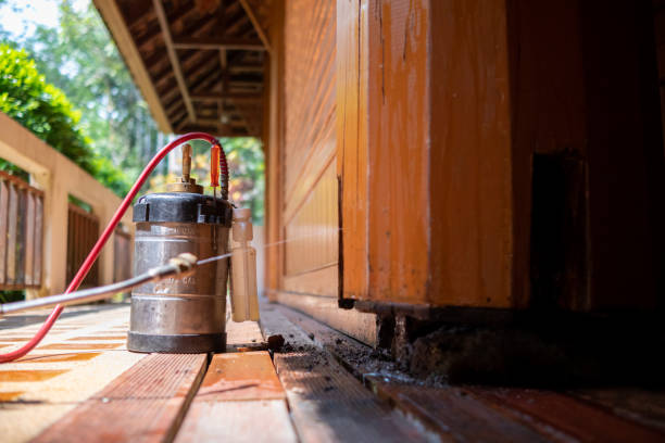 Best Affordable Exterminators  in Bovina, TX
