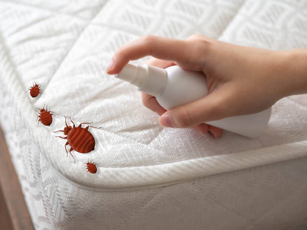 Best Bed Bug Extermination  in Bovina, TX