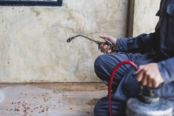 Best Pest Inspection Near Me  in Bovina, TX