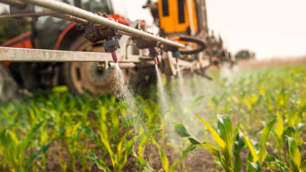 Professional Pest Control in Bovina, TX